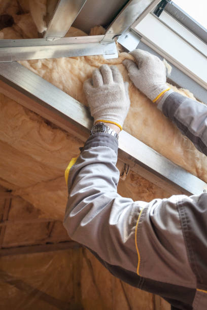 Best Insulation Installation Services in Worland, WY